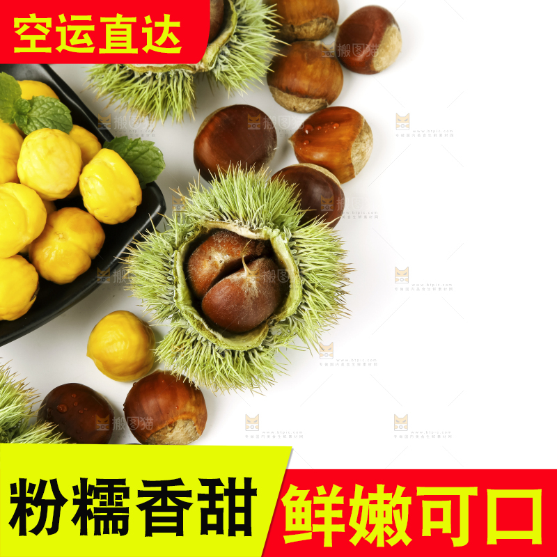 白底上放着生板栗