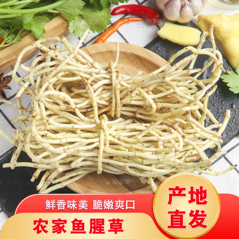 石板上放着折耳根