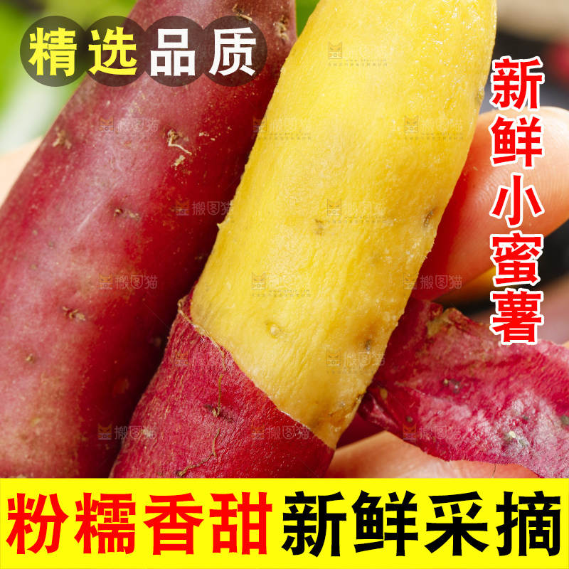 手里拿着临安天目山小香薯