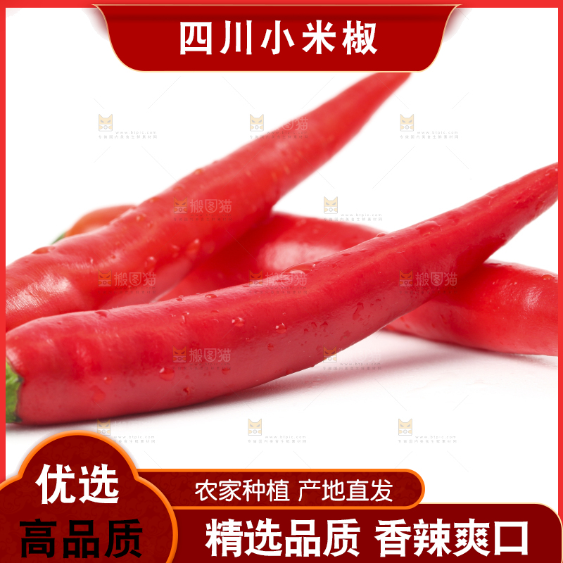 白底上摆放着小米椒