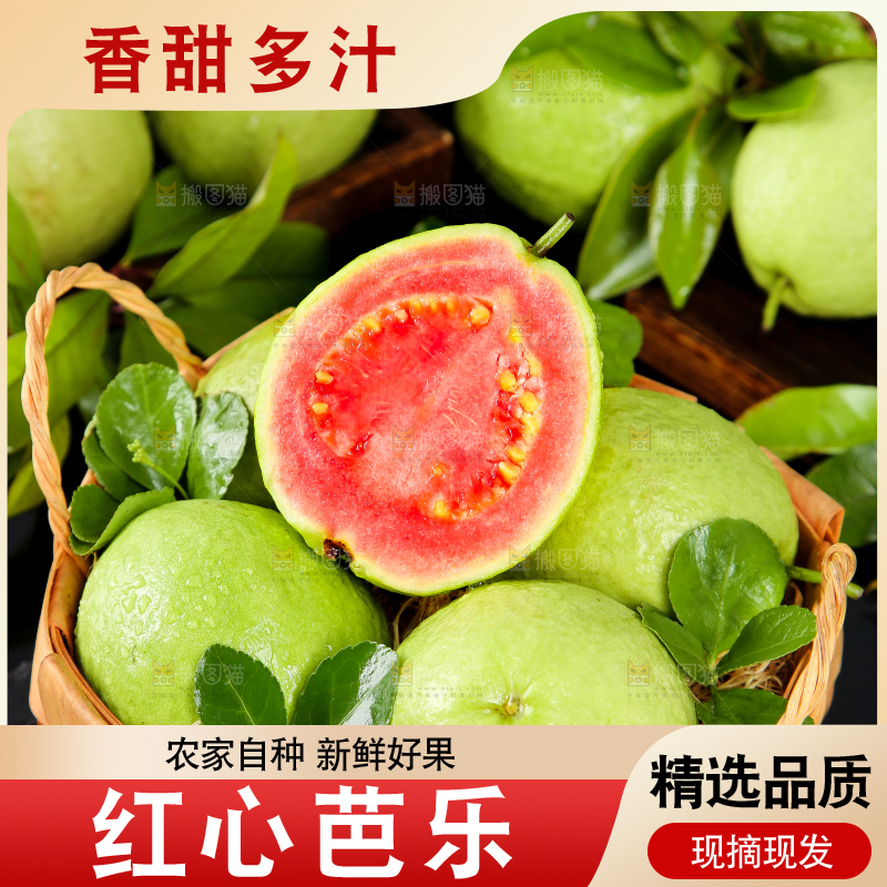 篮子里装着广西红心芭乐