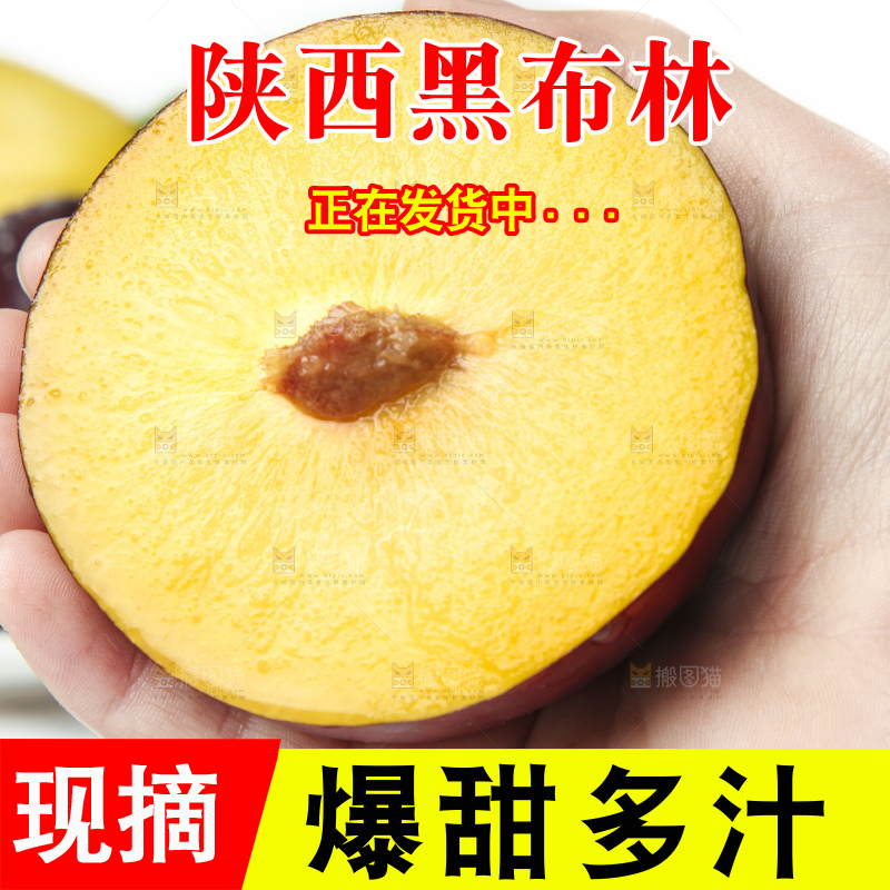 手里拿着黄肉黑布李