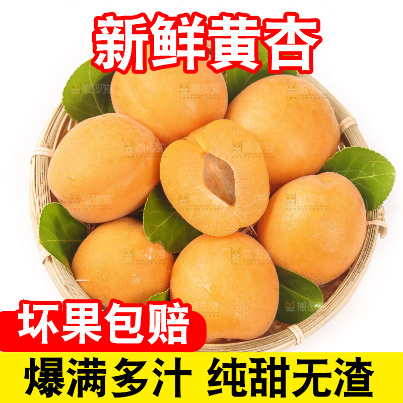 篮子里装着烟台杏子