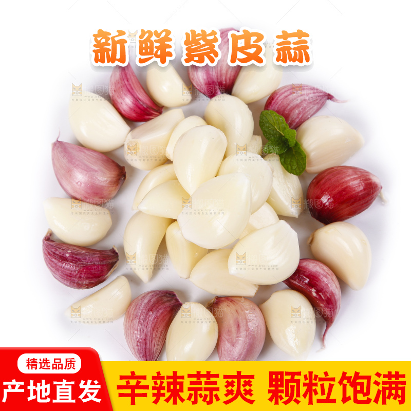 白底上摆放着云南紫皮多瓣蒜
