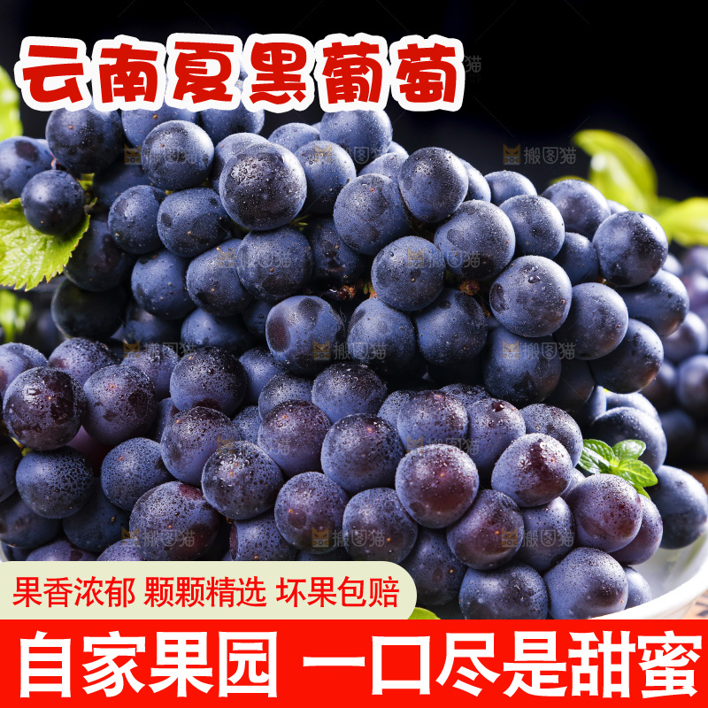 盘子里装着无籽黑提