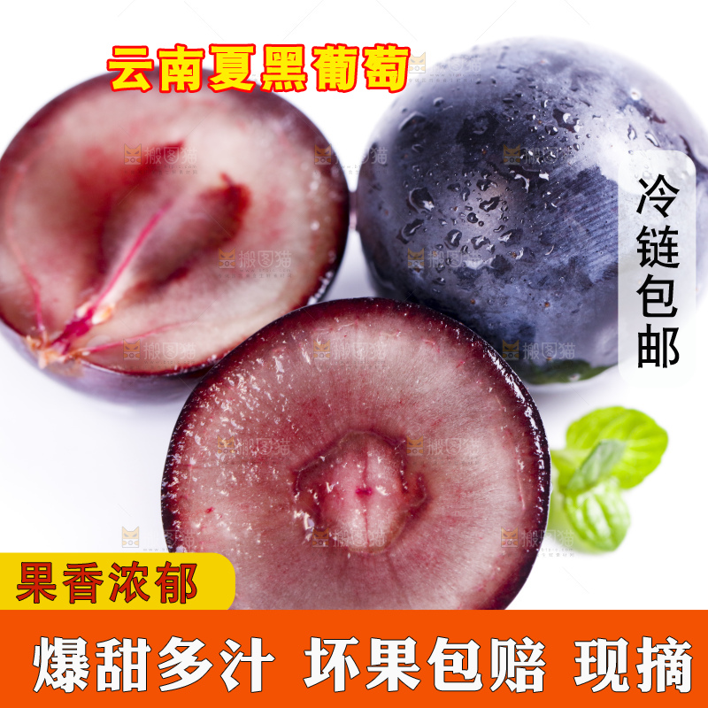 白底上放着夏黑加仑葡萄