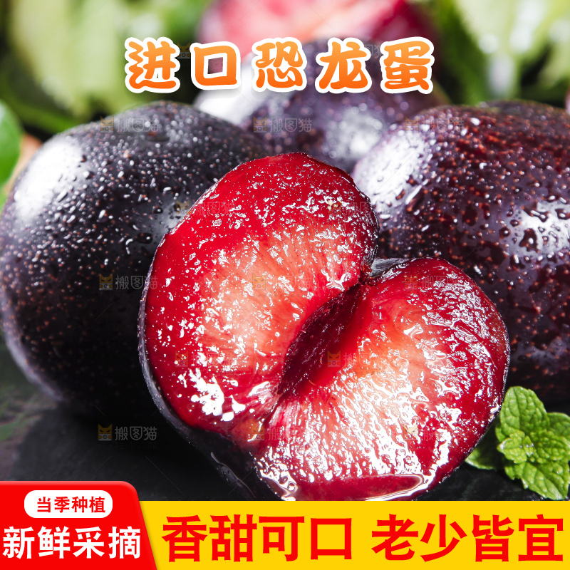 深底上摆放着恐龙蛋李