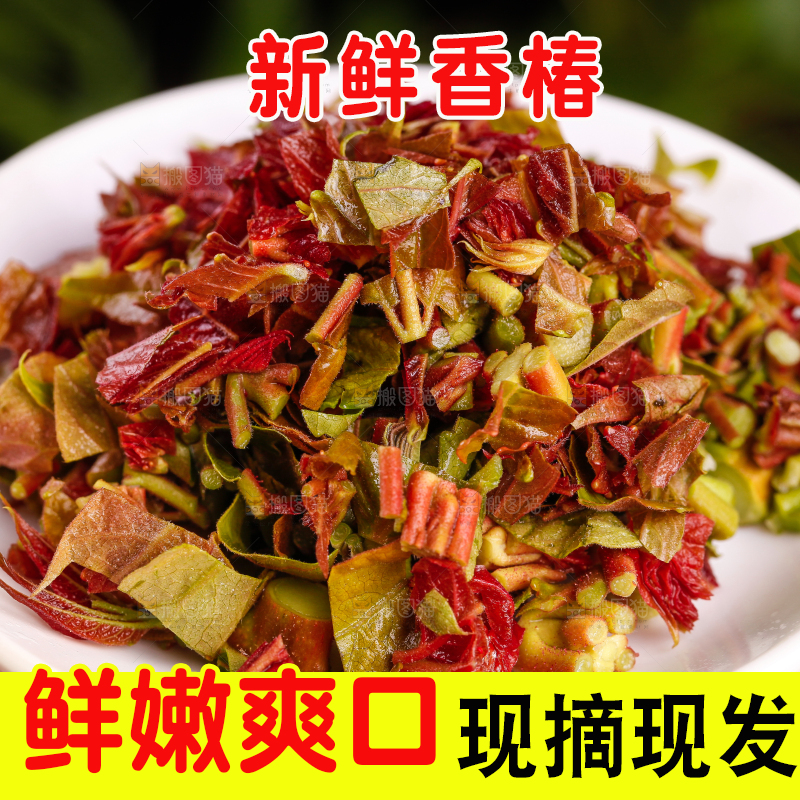 盘子里装着香椿