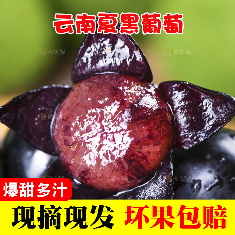 木底上摆放着夏黑无籽葡萄