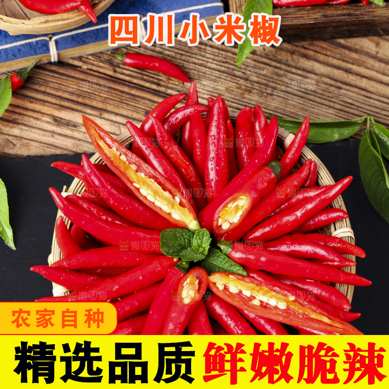 篮子里装着广西小米椒