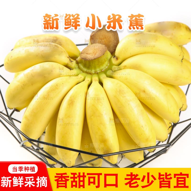 篮子里装着香甜小米蕉