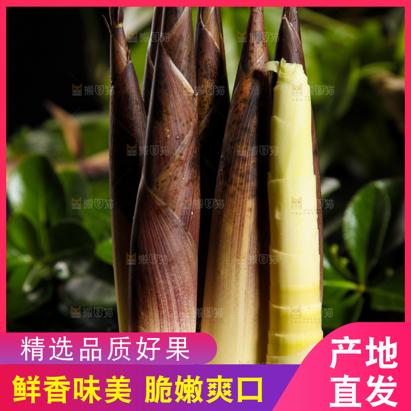 深底上摆放着雷竹笋