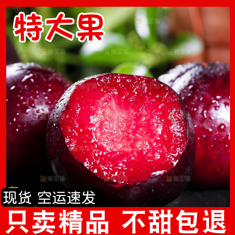 黑底上摆放着红心恐龙蛋