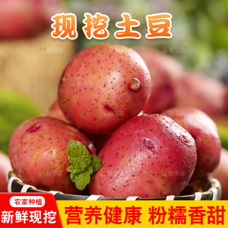 篮子里装着云南红皮土豆