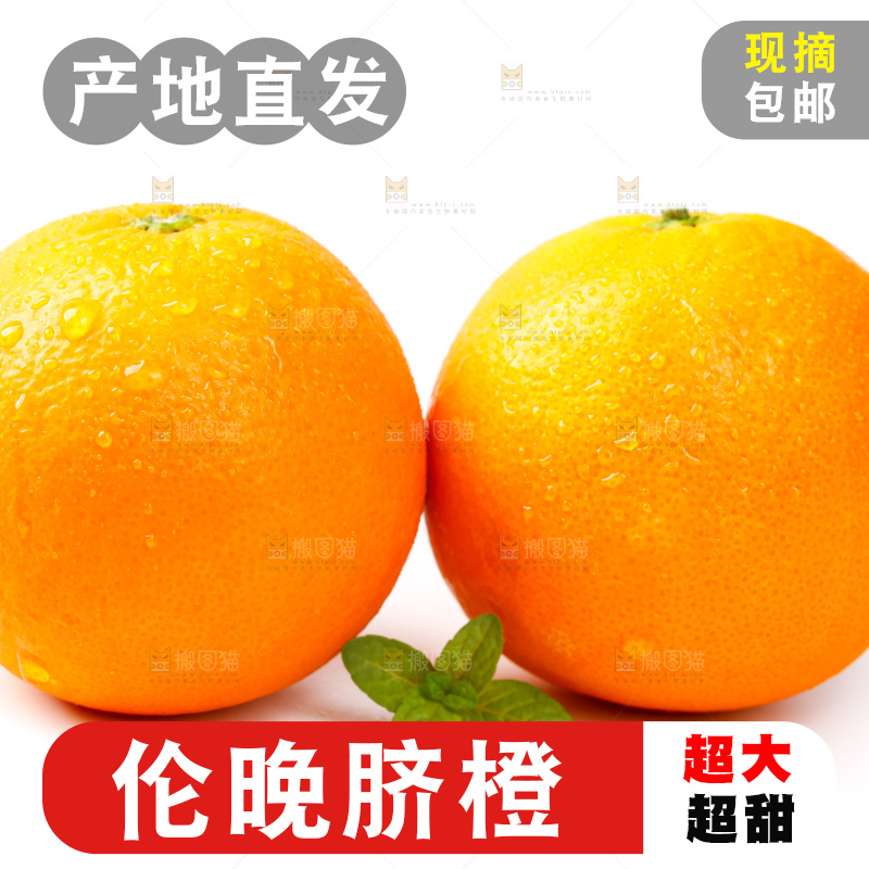 白底上放着赣南伦晚脐橙
