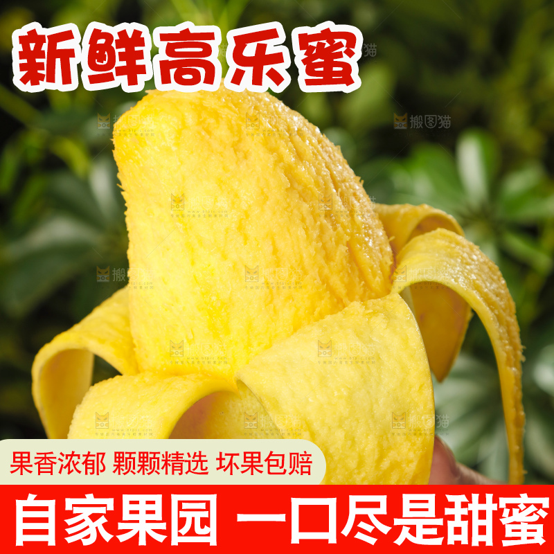 手里拿着新鲜高乐蜜