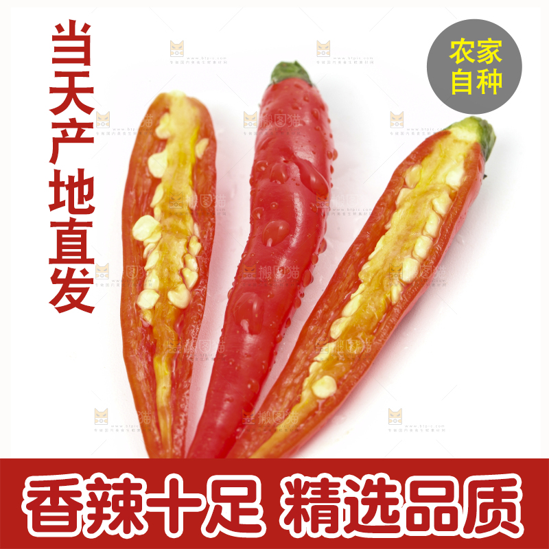 白底上放着红尖椒