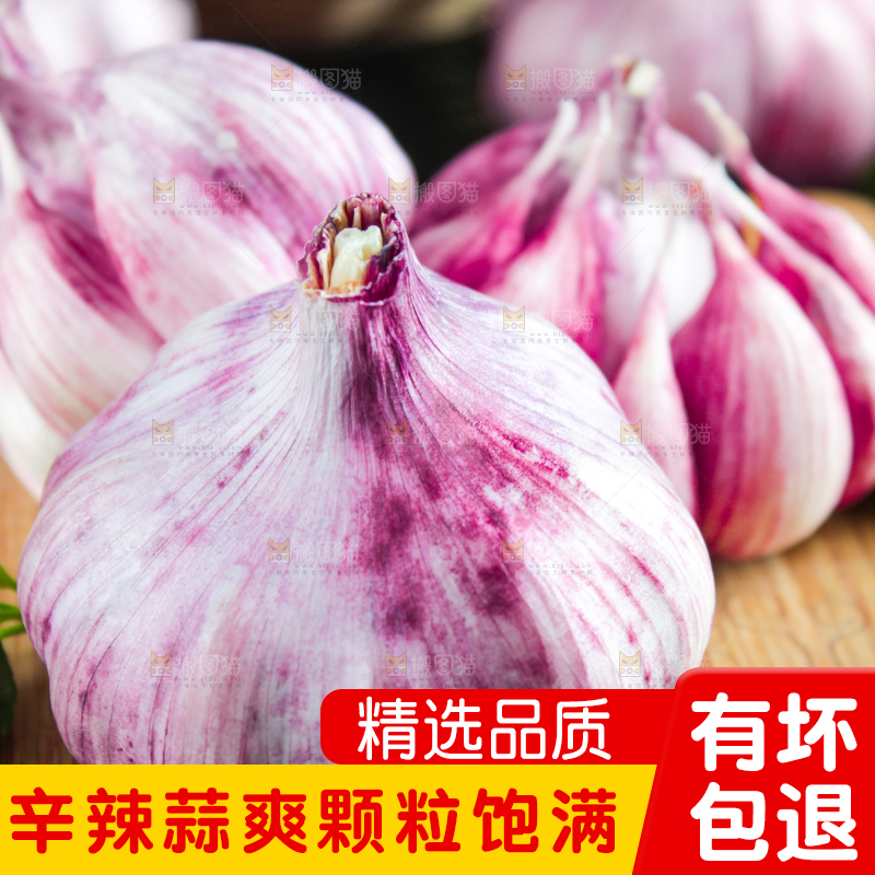 木板上放着紫皮鲜蒜
