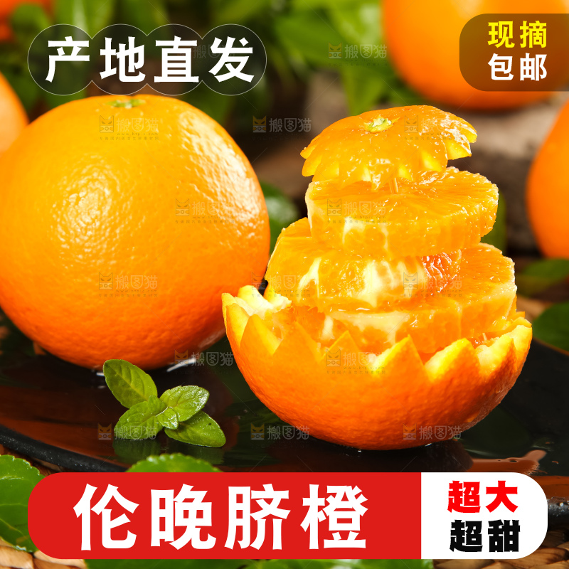 盘子里装着伦晚橙