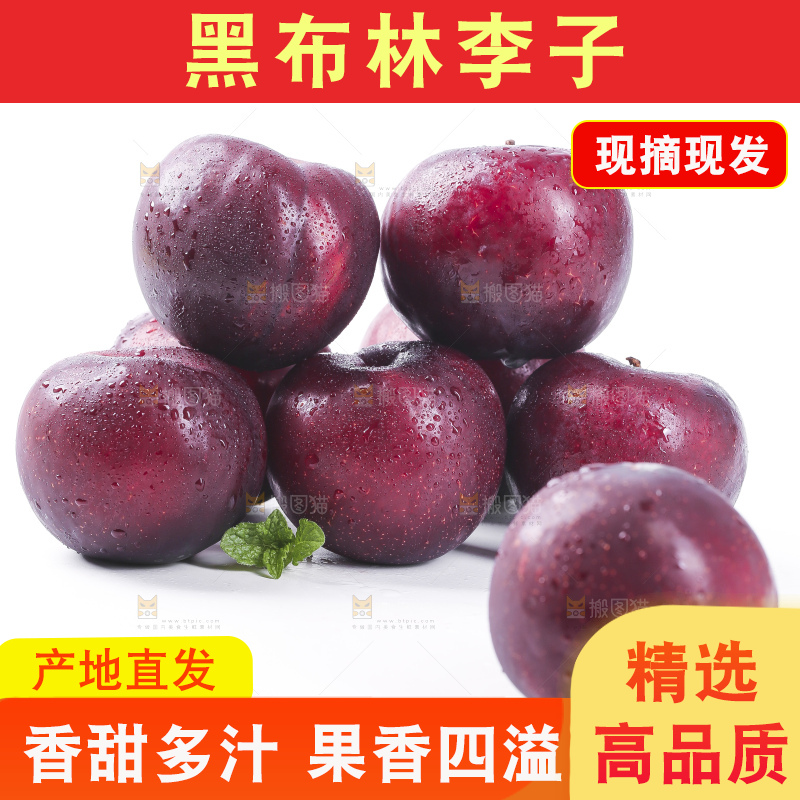 白底上放着黑布林