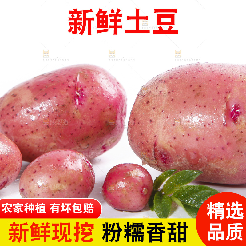 白底上放着红皮马铃薯