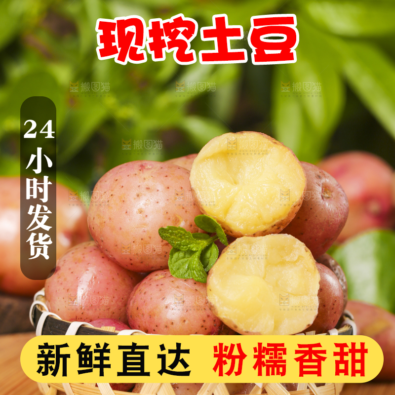 篮子里装着红皮马铃薯