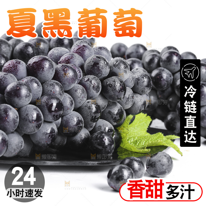 白底上摆放着黑加仑葡萄