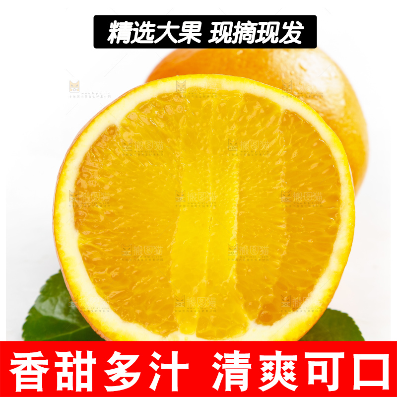 白底上摆放着新鲜脐橙