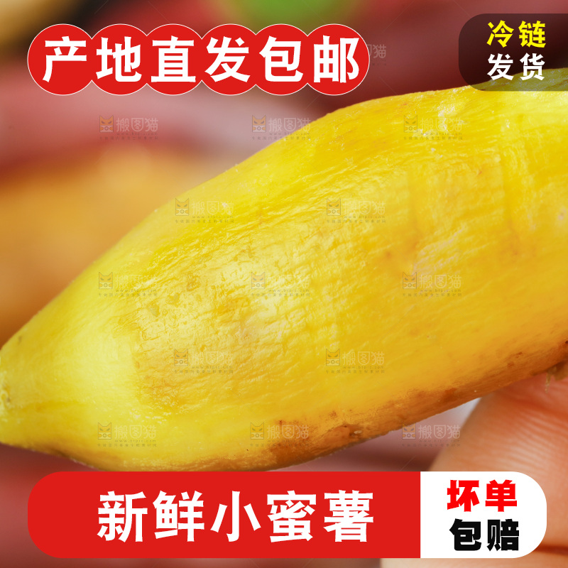 手里拿着临安小香薯