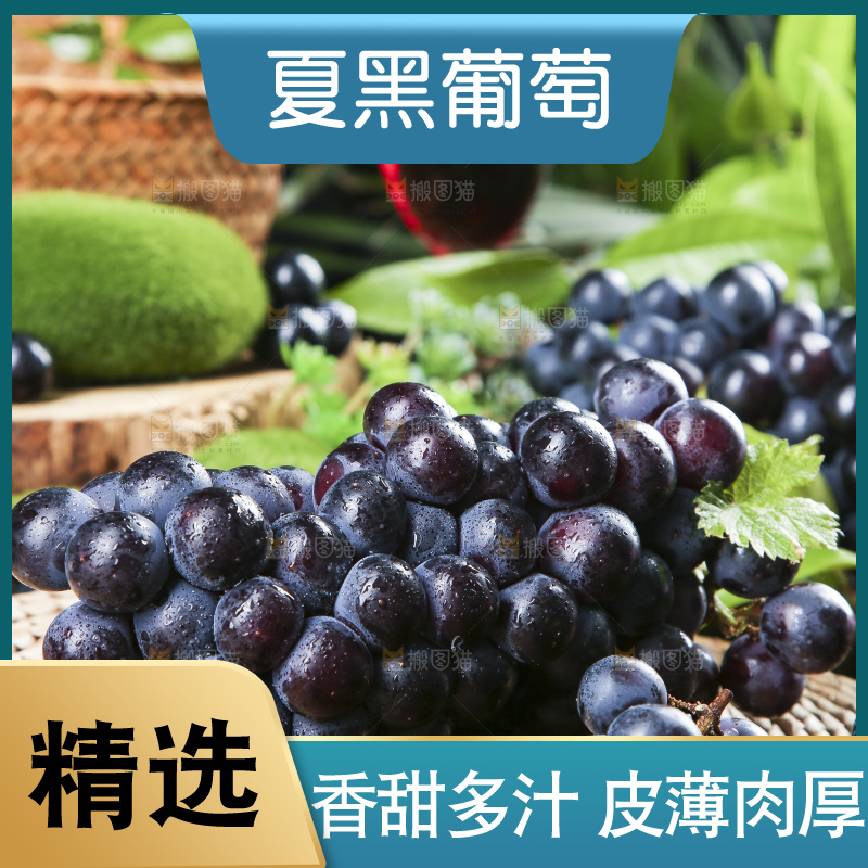 编织垫上放着夏黑