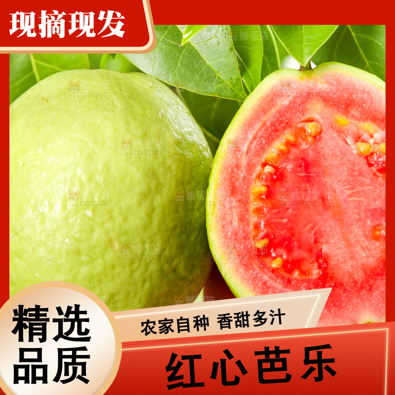 手里拿着红心番石榴