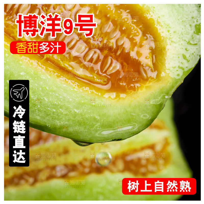 切开的博洋9号甜瓜