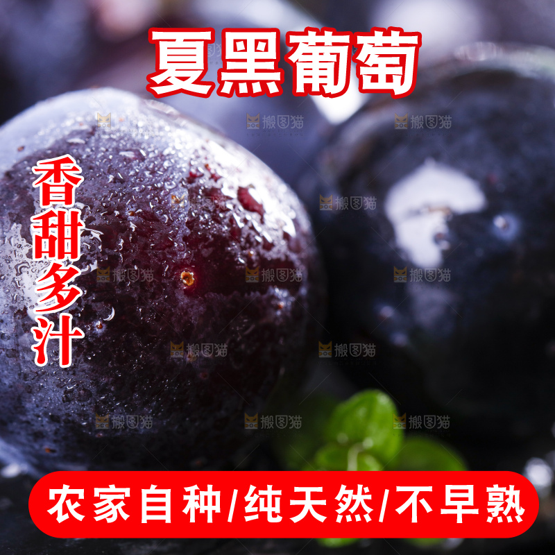 深底上放着巨峰葡萄