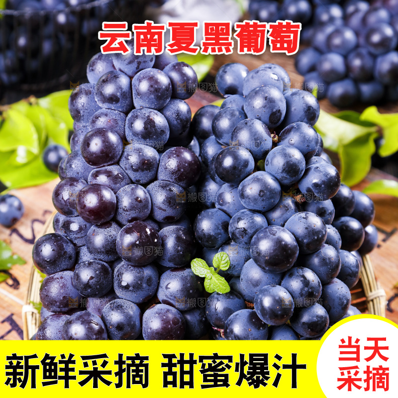 篮子里装着无籽黑提