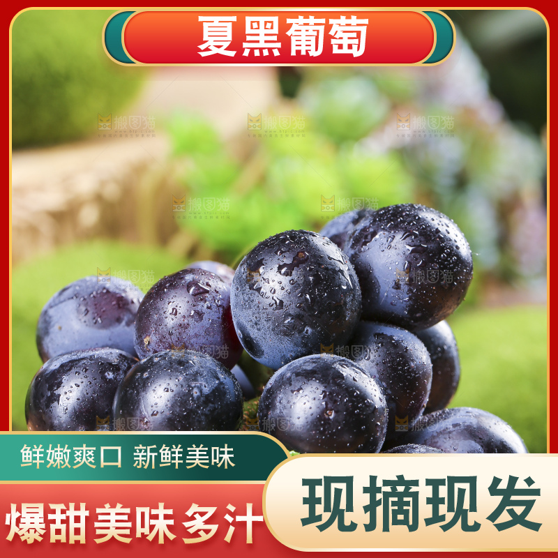 碟子里装着黑加仑