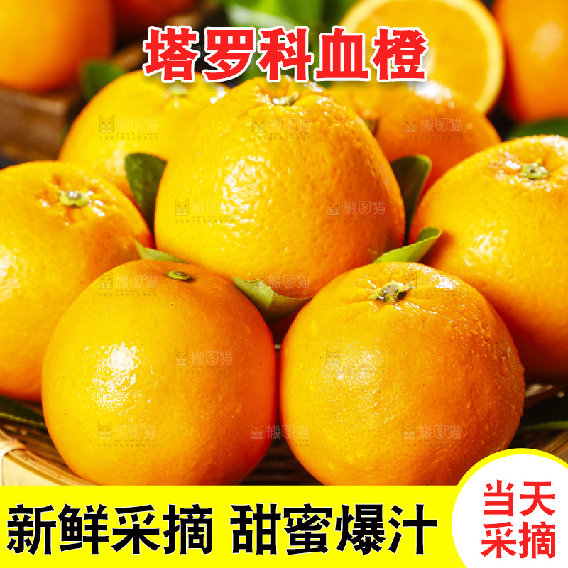 篮子里装着玫瑰香橙