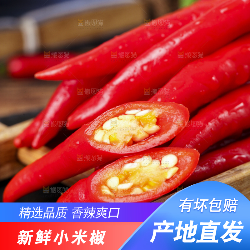 黑底上摆放着小米椒