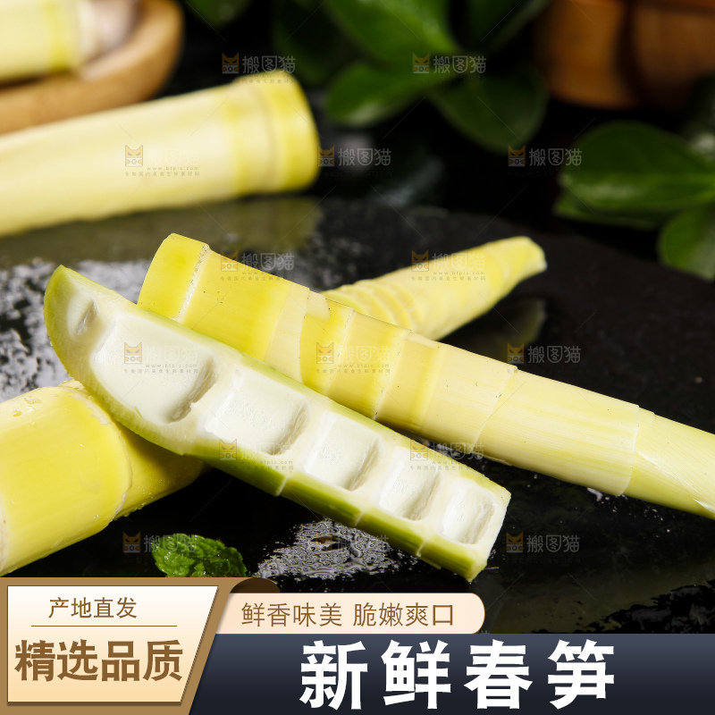 黑底上摆放着雷笋