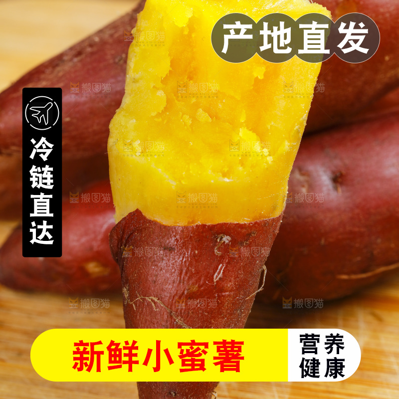 木底上摆放着天目山小香薯