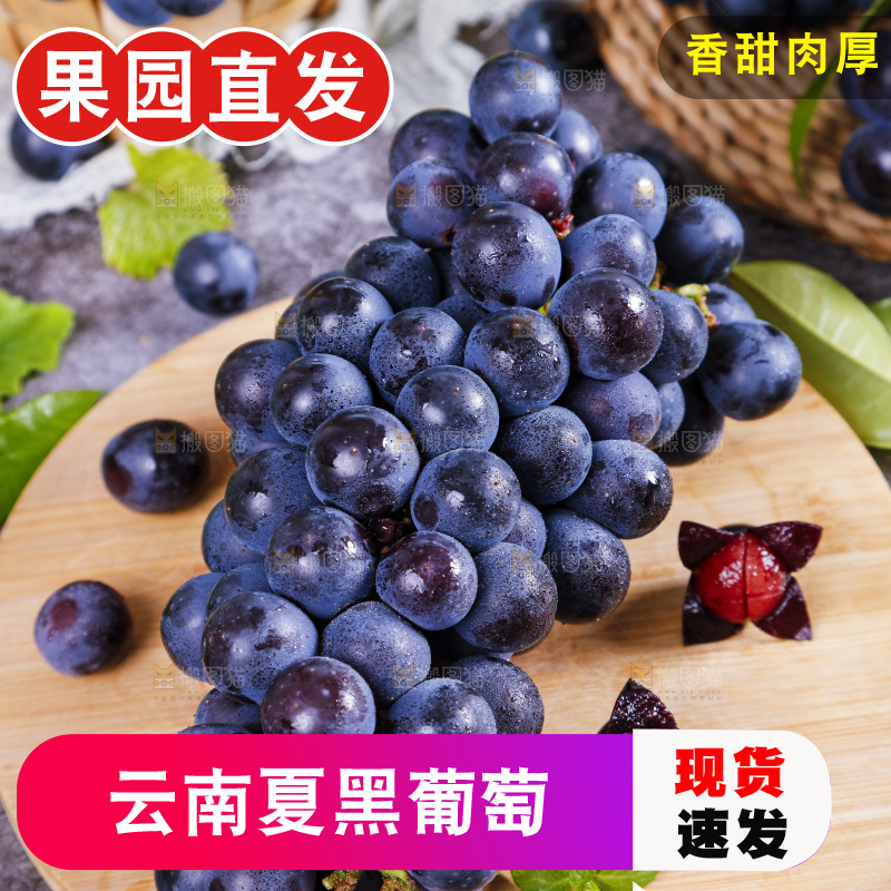 木底上摆放着夏黑无籽葡萄