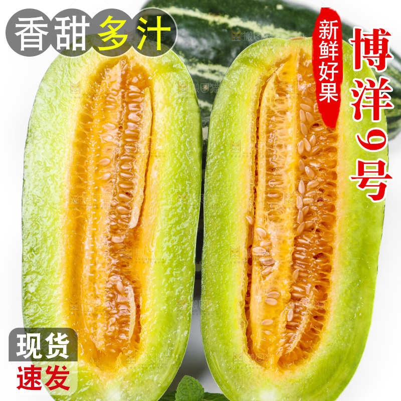 白底上放着博洋蜜脆甜瓜