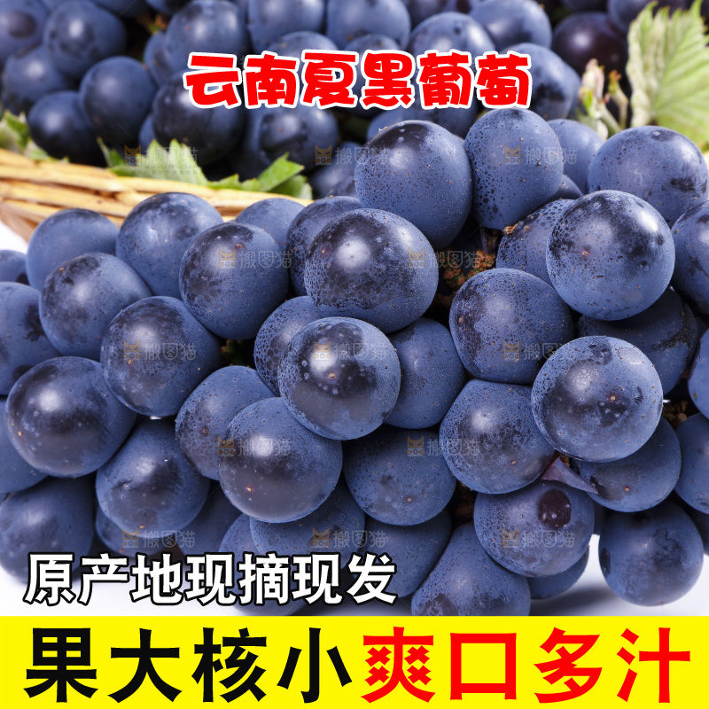 白底上放着云南夏黑葡萄