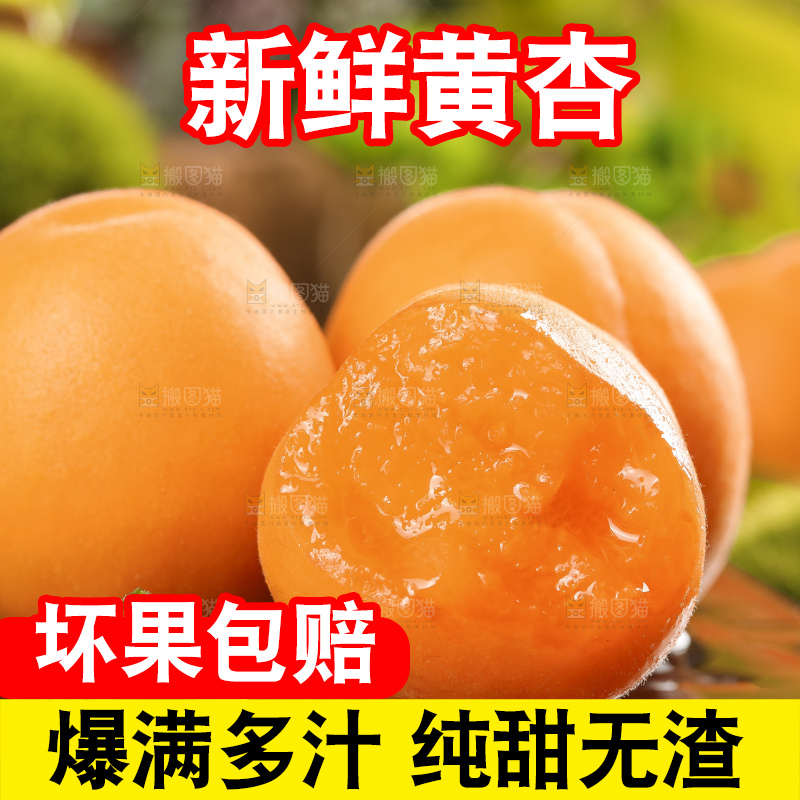 深底上摆放着烟台杏子