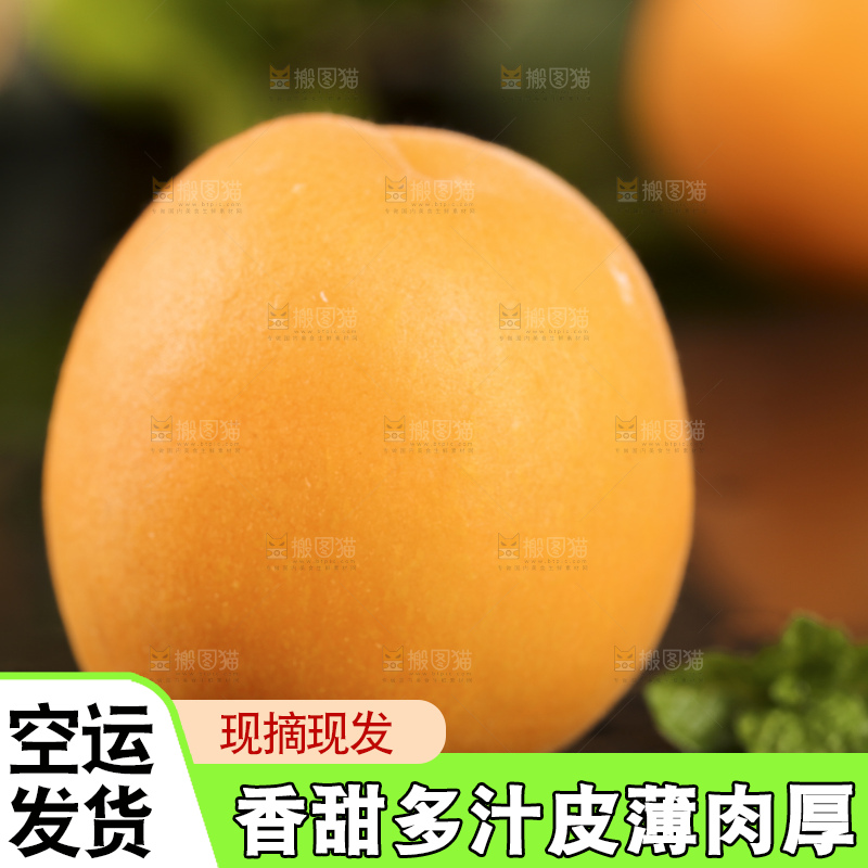 黑底上摆放着头茬大黄杏