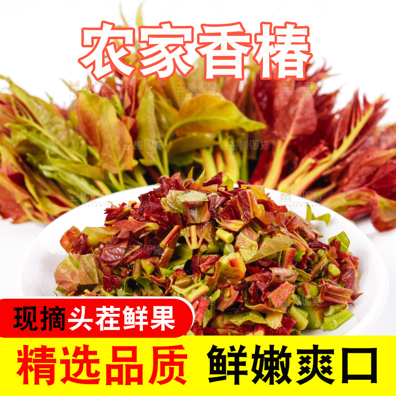 盘子里装着新鲜香椿苗