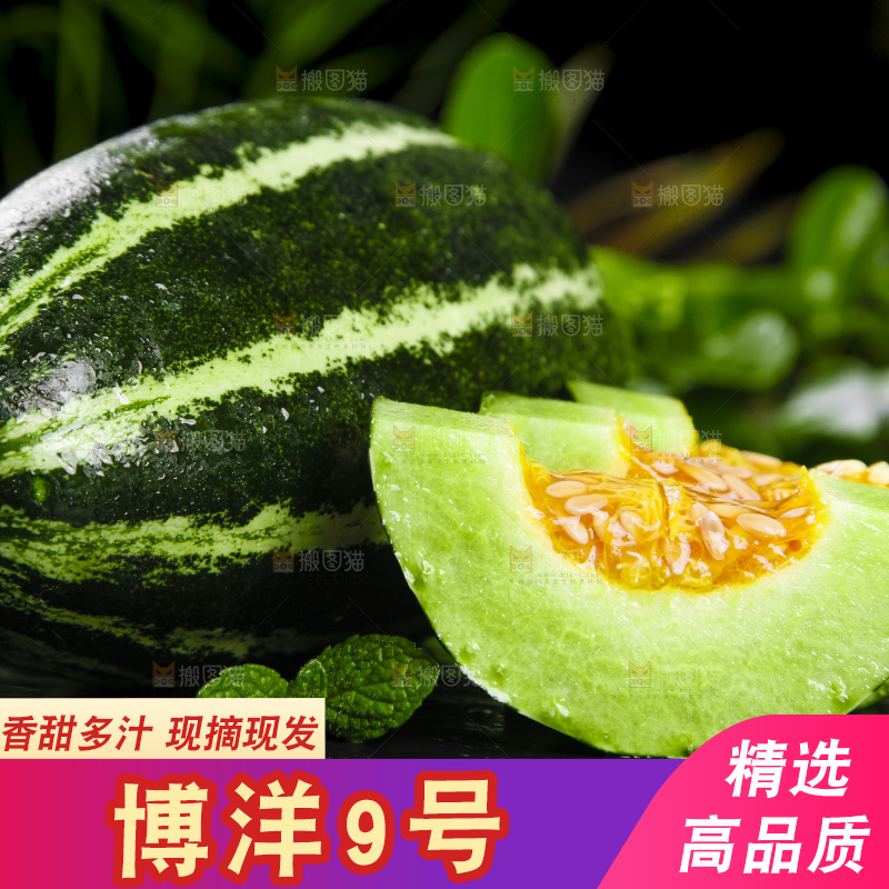 黑底上放着博洋甜瓜