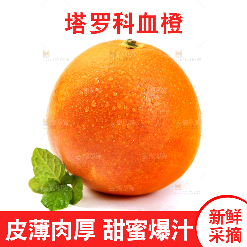 白底上放着玫瑰血橙