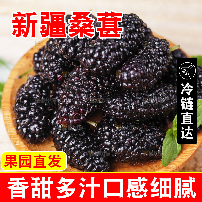 碟子里装着黑桑葚