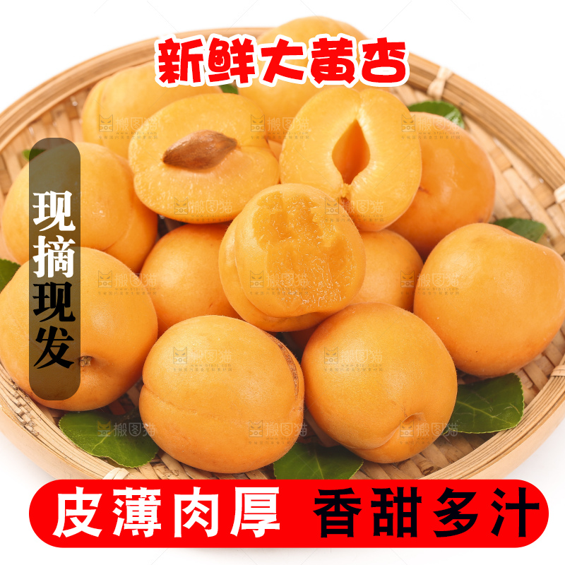 篮子里装着烟台杏子