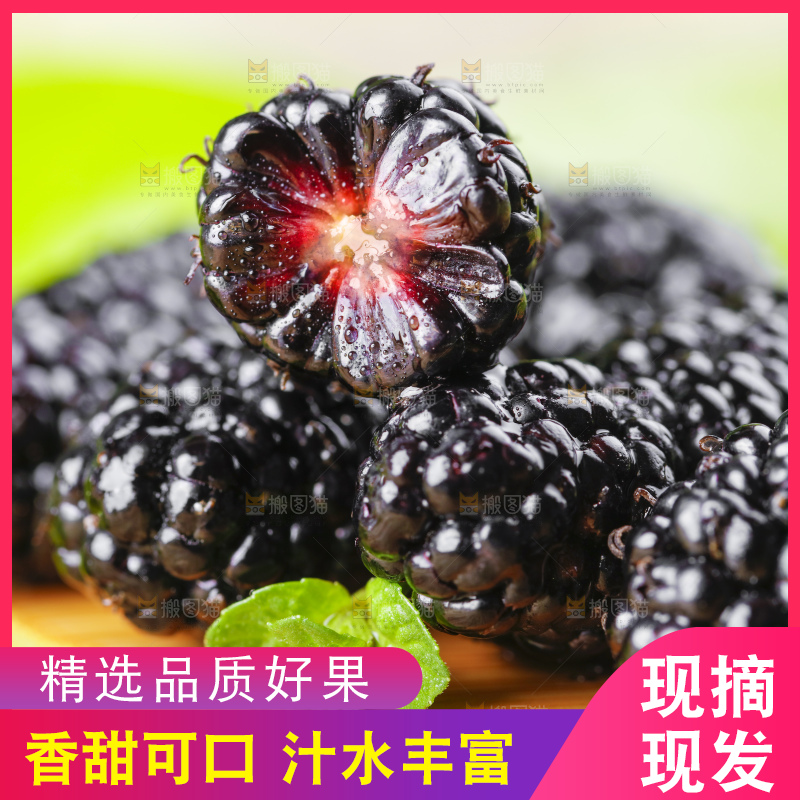 木底上摆放着黑桑葚